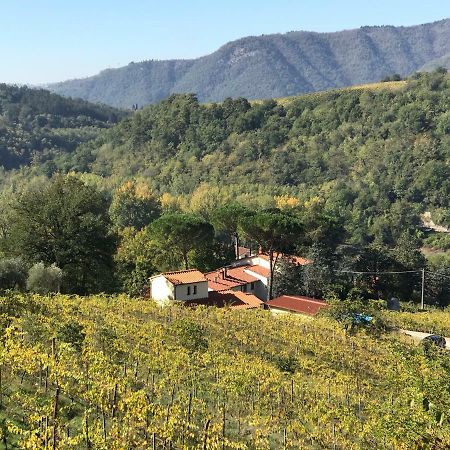 Il Poggiolo Ai Casini Lägenhet Scopeti Exteriör bild